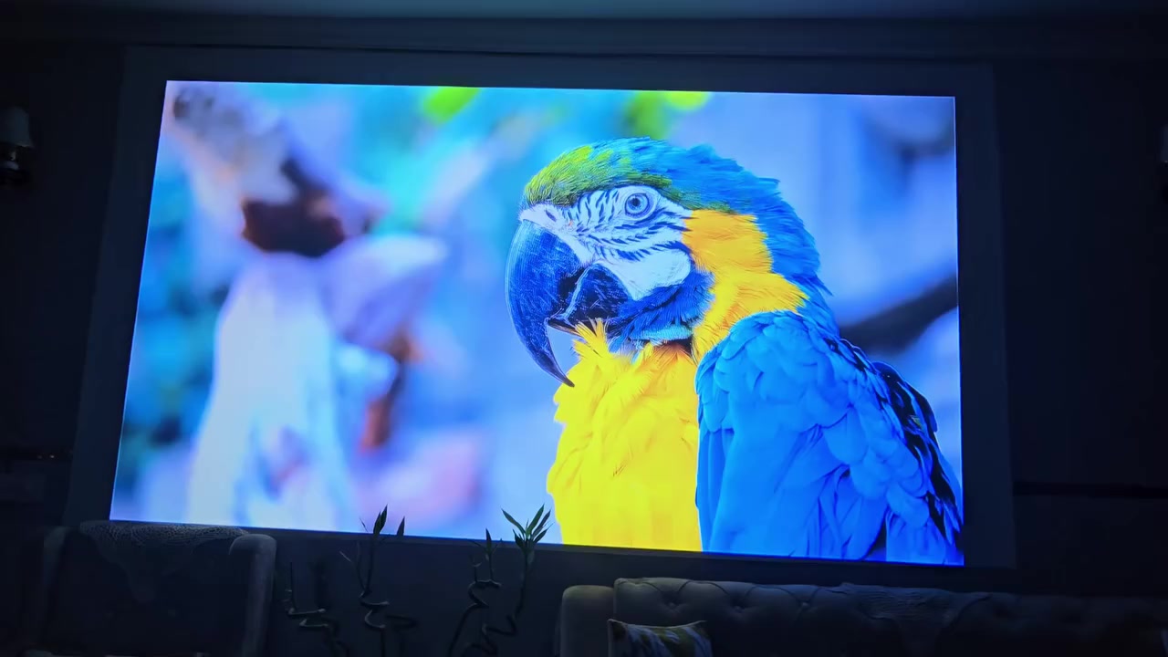 البروجيكتور) من ماركة FLIXTONE:
المواصفات التقنية والعرض
​الدقة الأصلية (Native Resolution): دقة 1080p Full HD حقيقية (1920 \times 1080 بكسل).
نظام اندرويد حديث يوتيوب سوق بلي
حجم الصوره 300 انج تقريبا ٦ متر 
​دعم المحتوى: يدعم تشغيل محتوى بجودة 4K (4K Support).
​السطوع: قوة إضاءة تصل إلى 2300 ANSI ، مما يعني وضوحاً جيداً حتى في الإضاءة المتوسطة او العاليه 
​تقنية الألوان: يدعم تقنية HDR10 لتحسين التباين وعمق الألوان.
​الصوت والمميزات الذكية
​نظام الصوت: يحتوي على سماعات مدمجة بنظام Surround Sound بقدرة 15 واط × 2، مما يوفر صوتاً محيطياً قوياً.
​التعديل التلقائي (Auto Correction): يدعم ميزة التصحيح التلقائي للصورة (الكيستون)، مما يسهل ضبط زوايا العرض دون عناء يدوي.
​العدسة: عدسة بقياس 155 مم مع حساسات أمامية بجانب العدسة للمساعدة في التركيز والتصحيح التلقائي.
​التصميم
​يتميز بتصميم عصري باللون  الفضي مع وجود فتحات تهوية كبيرة على الجوانب لضمان تبريد الجهاز أثناء التشغيل الطويل.


**إذا كنت صاحب هذا الإعلان وتريد حذفه لأي سبب، رجاءا أرسل رسالة إلى الدعم الفني**