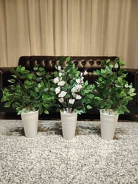 تخفيضات سيت ثلاثي 15 وتوصيله مجاني  للحجز والاستفسار يرجى مراسلتنا وات...