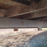 بدي كرين • اكتروز • ٧م