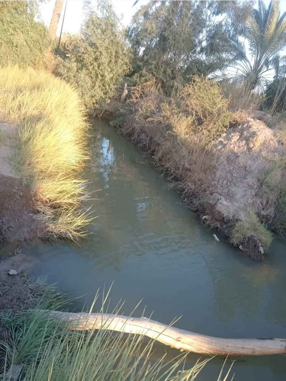 السلام عليكم ورحمة الله وبركاته🖤
البيع قطعه ارض🌴

5 دونم🌳
سند 117

كهرباء المياه واسواق وشوارع عامه
تحويل ثاني يوم🌿

مستوصف ومدارس
عنوان  واسط الصويره شارع المطار🌱

رقم الهاتف *********** 🌹
