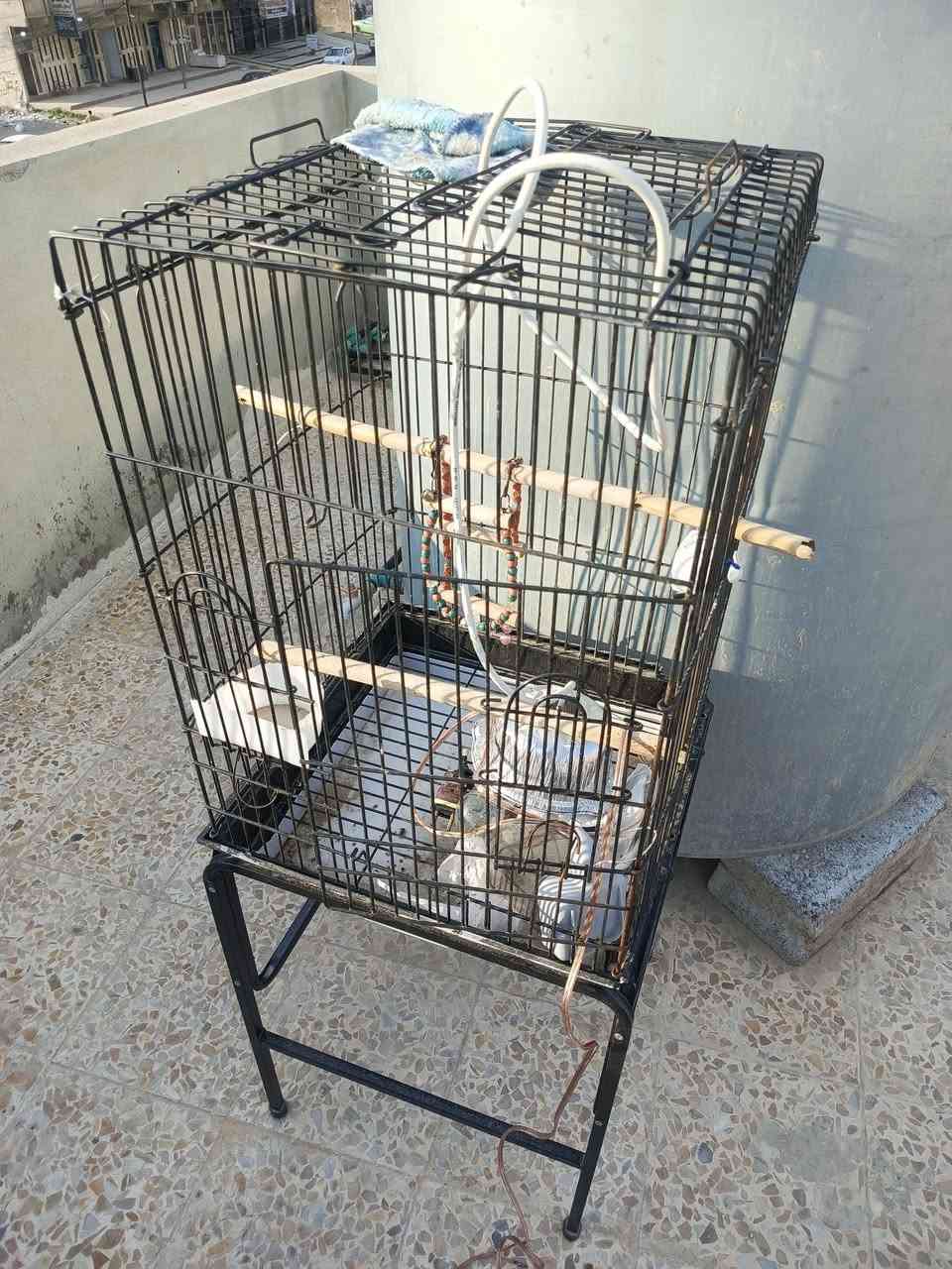 ا
السلام عليكم قفص للبيع السعر 25 فقط يحتاجلو تنضيف مرتب حيل لحد يكسر بي   رقمي بي واتساب. ***********
