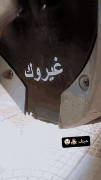 ستوني • معدل فول • دراجه كامله