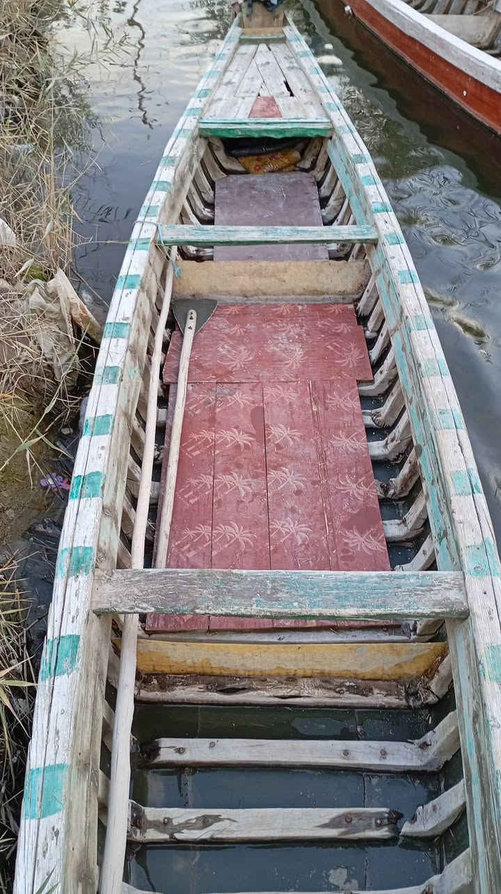 سلام عليكم 
متاح بلم فيبر قطع طول 14 اضراع
مكاني بصره كرمه علي 👈***********
