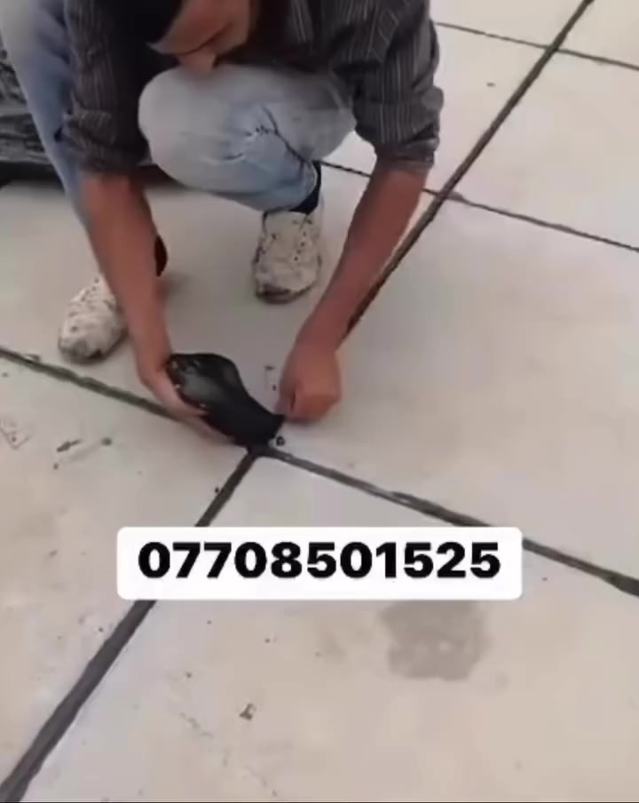 عمل ماستك
***********
