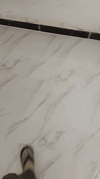 سلام عليكم خلفة تطبيك سراميك جدران ارضيات مرمر 

بورسلين بايات درج عمل لوح بورسلين ترميم بيوت لتزام 

بل عمل سعر مناسب مكاني بغداد ***********
