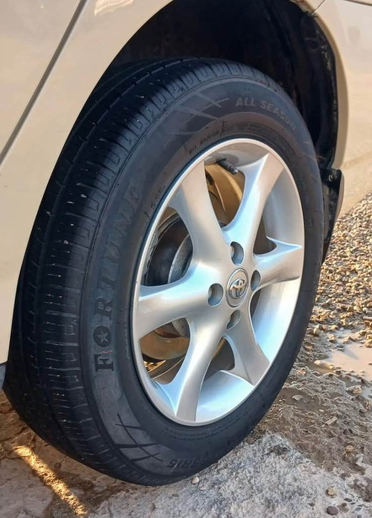 تایە و ویل بۆ گۆرینەوە بە عادی خاوێن
تەیەکان تایلەندیە ١٨٥/٦٥/١٥
ویلەکان بێ سبوغ و تەقینە 
***********whtsApp أربيل, العراق
