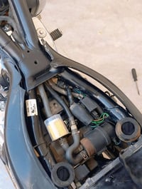 هارلي ستد 600cc • كفالة عام • بدون اوراق