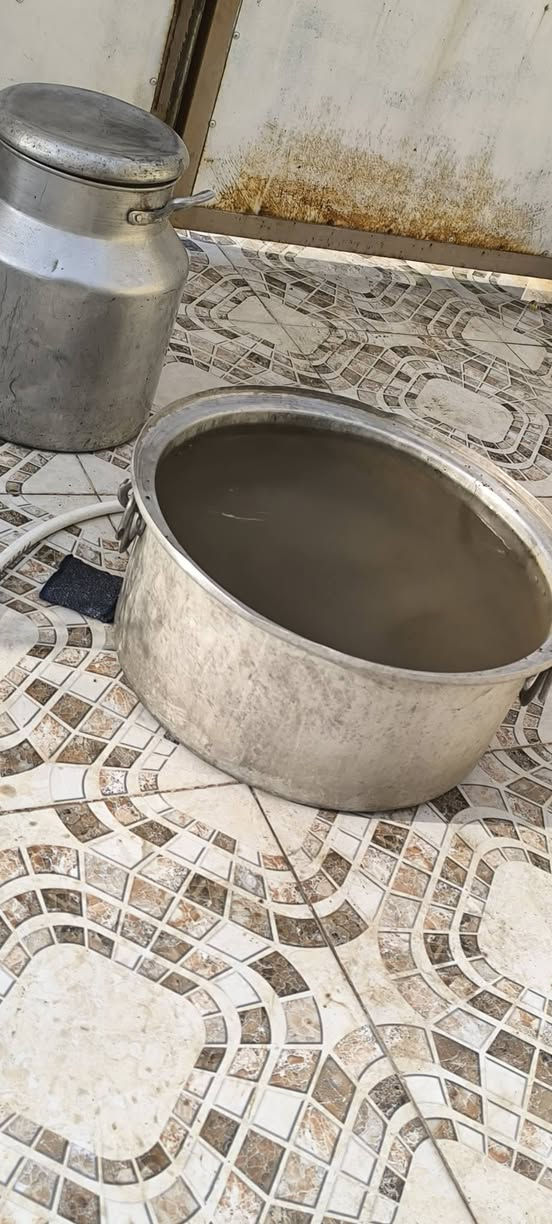 جدوره للبيع جديده ورقم وحد مال طبخ وطباخ عينين كمل هوه ول منضم وعين قيم وخذ والله كولها اصليه


**إذا كنت صاحب هذا الإعلان وتريد حذفه لأي سبب، رجاءا أرسل رسالة إلى الدعم الفني**