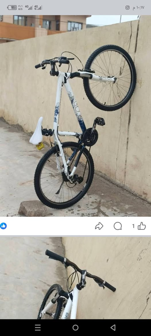 السلام عليكم دراجة سكوت للبيع ما بيها اي نقص حالت وكالة السعر 120 بيها مجال المكان حي فلسطين مراسلة خاص


**إذا كنت صاحب هذا الإعلان وتريد حذفه لأي سبب، رجاءا أرسل رسالة إلى الدعم الفني**