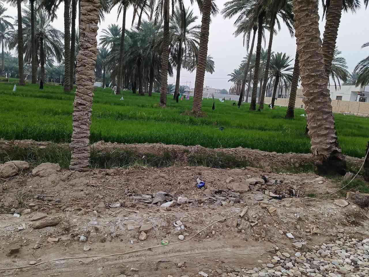 سلا عليكم
ارض طابو صرف بستان  للبيع  1000متر 

توجد كافه الخدمات ماء كهرباء. 

الارض قريبه ع شط الهاشميه  طريق محريجه 

وقريبه ع شارع. علي قمار.  

لاستفسار. 
‏‪***********‬‏

صافي السلطاني
