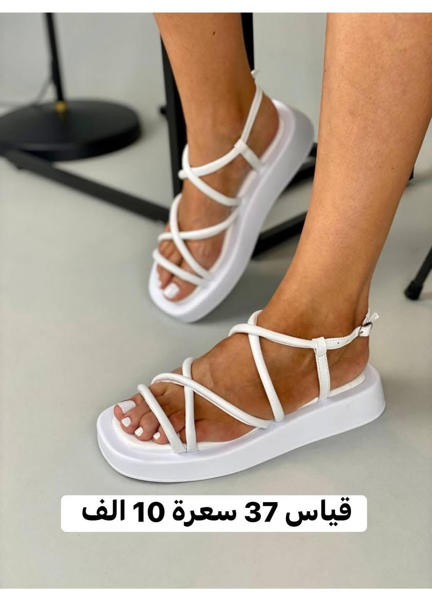 احذية شي ان كوالتي .. توصيل كل المحافظات 5 الف


**إذا كنت صاحب هذا الإعلان وتريد حذفه لأي سبب، رجاءا أرسل رسالة إلى الدعم الفني**