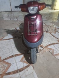 بطة • ٦٠ • مجال
