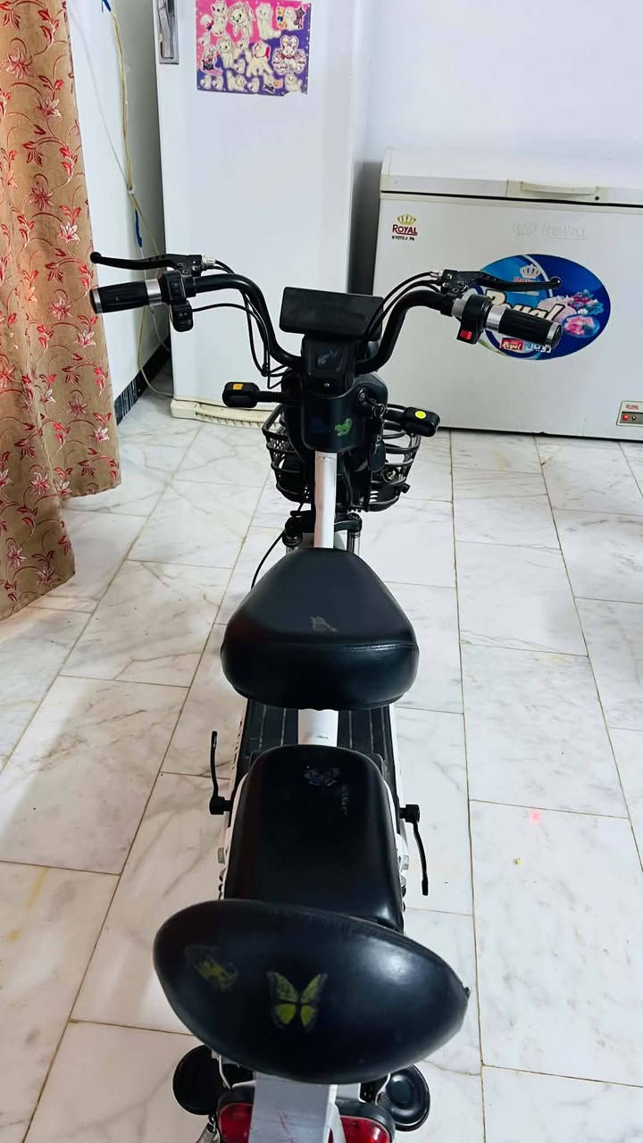 باسكل شحن  بطارياته هابطه  فقط المكان بابل السعر300وبي مجال حق الجيه شرط نضيف


**إذا كنت صاحب هذا الإعلان وتريد حذفه لأي سبب، رجاءا أرسل رسالة إلى الدعم الفني**