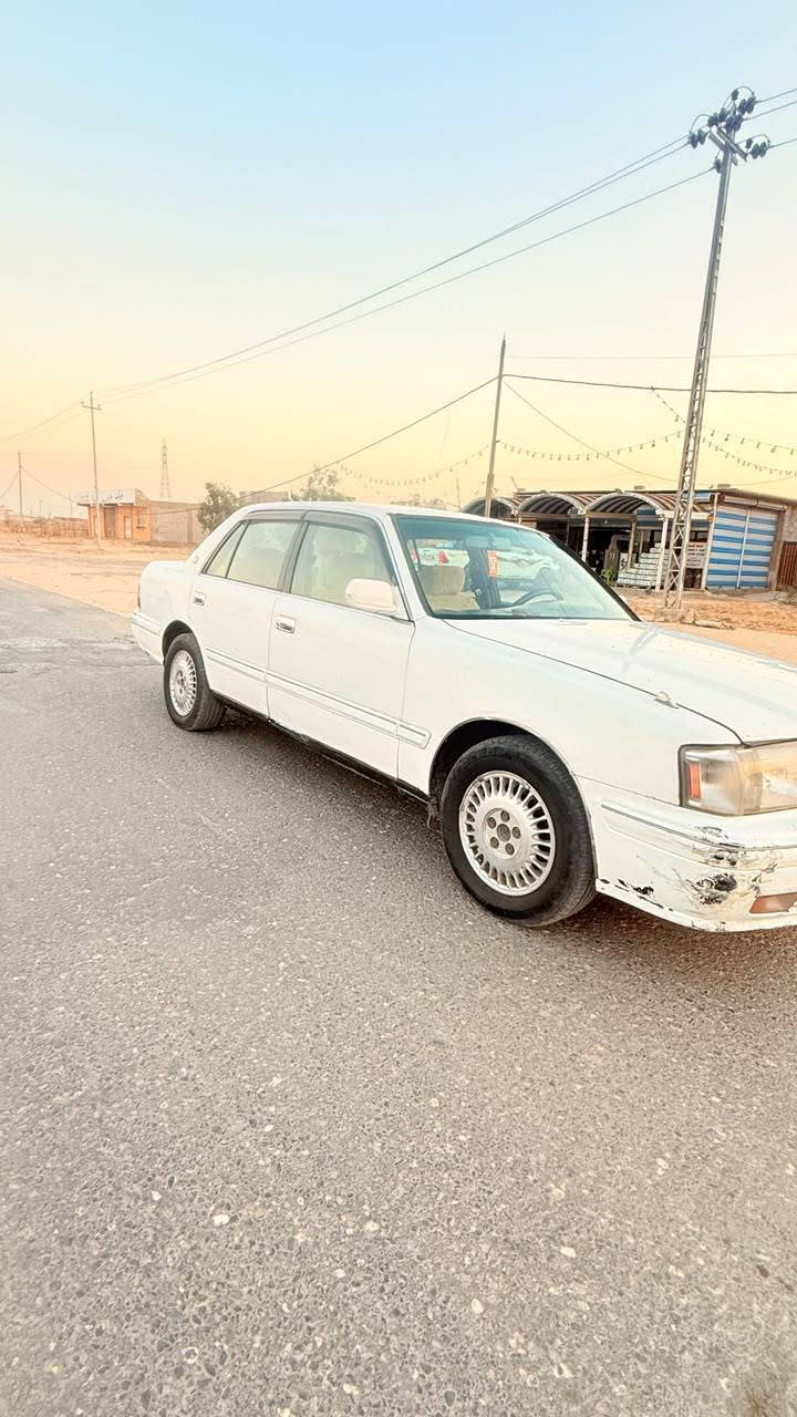 راس ثور تكم رقم نجف
 مشروع وطني سنويه جديده
مكفوله كص ونقل جثه وضربه
 مكفوله من صبق العام محرك وكير ٢٥٠٠
مكاني نجف السعر (٨٥) وبيه مجال
التصال ***********
