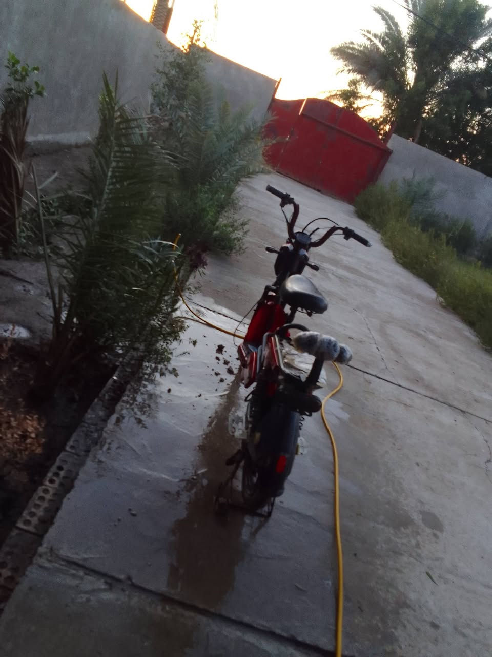 سلام عليكم 
دراجه شحن حجم 20 موديل 25
الدراجه عايزه بطاريات وكشن خلفي 
سعر 160 وبيه 
مكان بابل الكفل قرب سيطره معمل البيبسي 
ملاحظه (اعايزه بطاريات وكفلك ملف وعقل )
الدراجه تأيرات بريك خلفي كرهبائيات كله شغاله جاملغات سلته موجوده 
اربع دبلات خلفيه ودبلين امامي  
الخاص مفتوح 
***********رقمي
