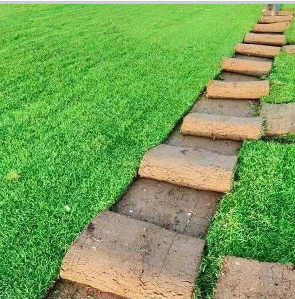 السلام عليكم 🩵

موفر ثيل هندي في مشتل ابوبكر  🌿
-ثيل هندي درجة اولى الخضار 100‎%‎

سعر القطعة 2.500 دينار فقط 

كل قطعتين متر مربع بسعر 5.000 الاف فقط 

#العنوان_القائم_حصيبة 
شارع ابو رندة القديم شارع صيدلية النبع مقابل قرطاسية ديار الأمل 

الإتصال *********** مشتل ابوبكر
