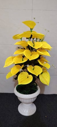 أشجار وسنادين ورد بأشكال جميله وقياسات مختلفه جمله ومفرد للطلب راسل ال...