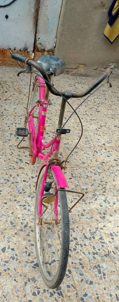 للبيع كاونتر جديد،،ثلاجه حجم كبير جديده،،باسكل ياباني 🇯🇵، الشراي يتصل ***********
