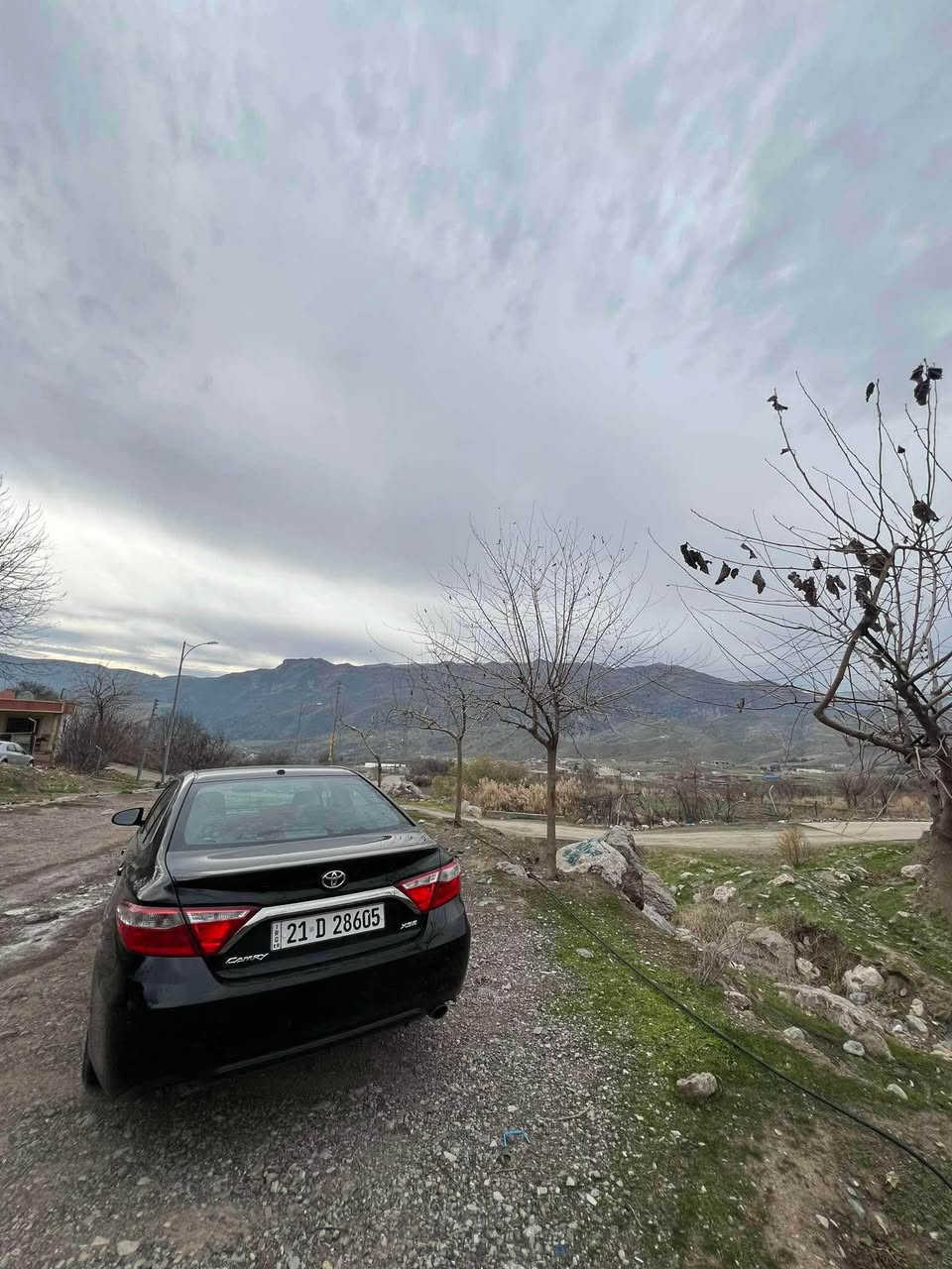 ٢٠١٦ xse فول مواسەفات  ناو سپی ١٨٠ هەزار رۆشتوە بەسمەیە ٤ رادارە  ٢ پارچەی بۆیاخە بی ناو گرتن  کامل سێرفسی بۆ کراوە  هەتا لە نزیکەوە نەیبینی نازانی چۆنە ئەو جۆرە مواسەفاتە کەمە بانسو رۆتو دەبڵو شەمعی گۆراوە السليمانية, العراق


**إذا كنت صاحب هذا الإعلان وتريد حذفه لأي سبب، رجاءا أرسل رسالة إلى الدعم الفني**