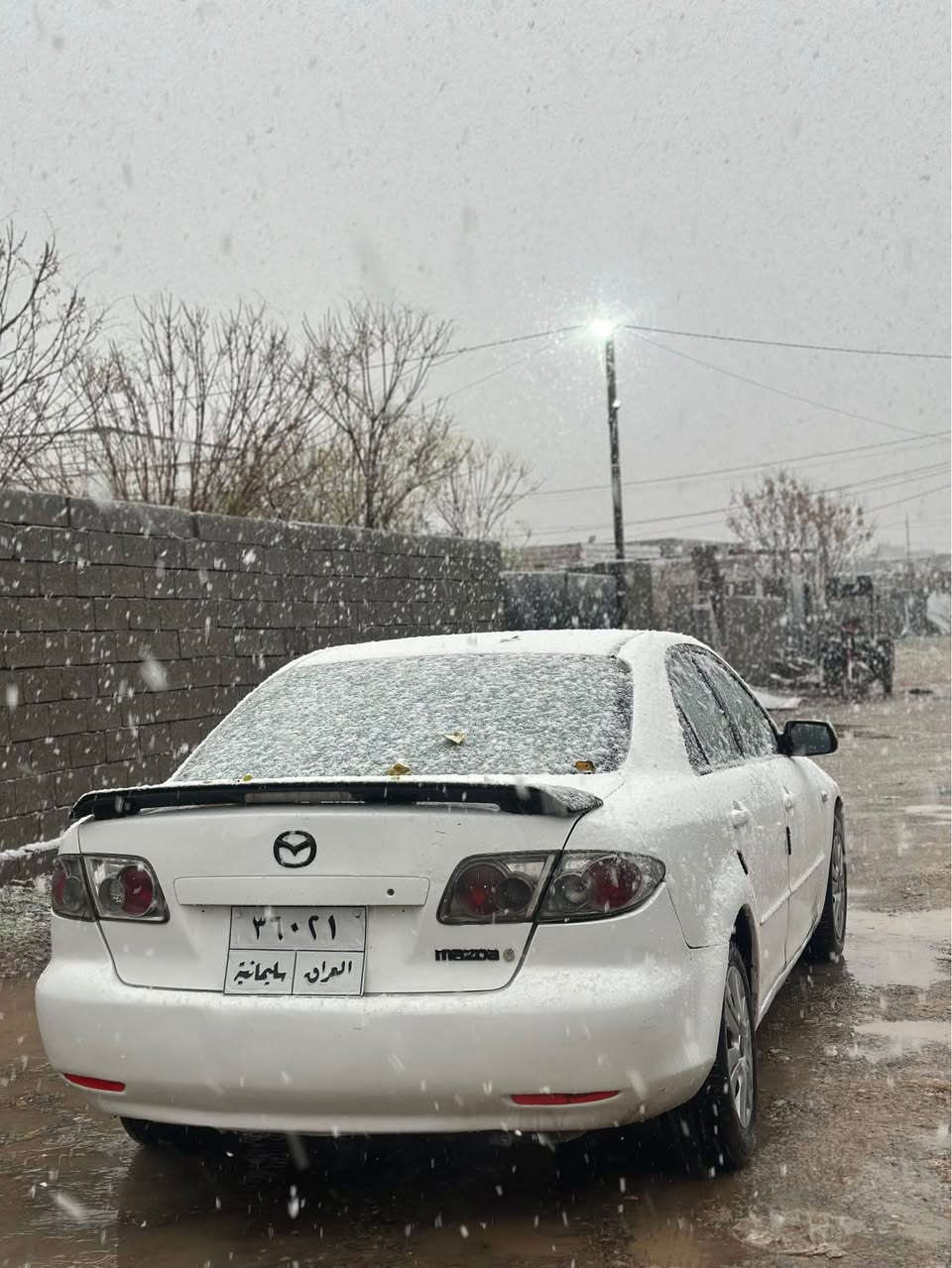 سعری ٣٧ وەرەقە و ٧ وەرەقە خرامەی لەسەرە دەیدەمەوە 

 ژمارەی مۆبایل *********** وەتسئەپی لەسەرە 

مازدا زووم٦ مۆدیل ٢٠٠٣ گێر تۆماتیک 

گێر و مەکینە بەشەرت  

سبوخ عامە بۆ جوانی

سەنەوی ٢٠٢٤ە و ٧ وەرەقە خرامەی لەسەرە دەیدەمەوە 

سعری ٣٧ وەرەقە و ٧ وەرەقەی لەسەرە دەیدەمەوە واتا ٣٠سافی 

( *********** )وەتسئەپی لەسەرە أربيل, العراق
