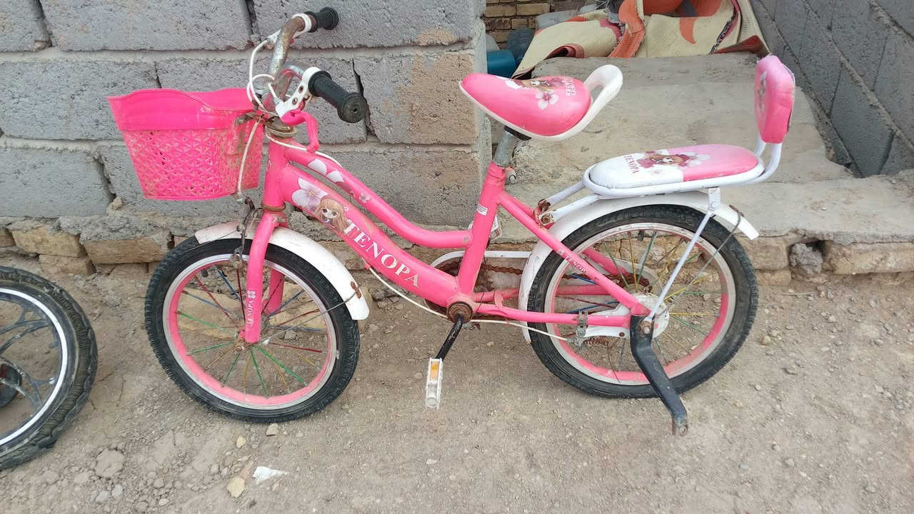 سلام عليكم شباب عاده نشر بسبب وعود كاذبه لبيع عوزهن بس اجوابه سعارهن 60 وبيهن مجال قلي


**إذا كنت صاحب هذا الإعلان وتريد حذفه لأي سبب، رجاءا أرسل رسالة إلى الدعم الفني**