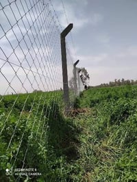 عمل ونصب اسيجه البيارسي بأنواعه الاسعار حسب نوعيه سمك السيم نعمل في جم...