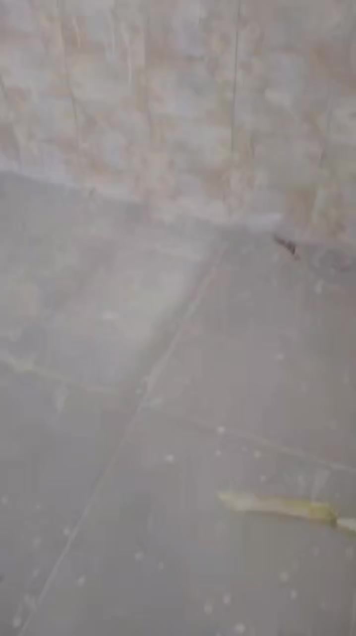 جزء بسيط من عملي 
هذه من فضل ربي
***********
