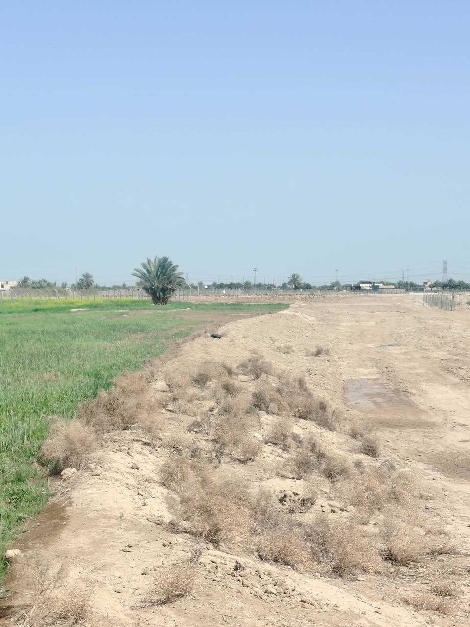 ارض زراعيه  سند 25 دونمين ونص قرب العلويه  شريفه  جه مزرعه النخيل  
***********
