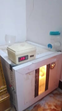 فقاسه كامله مكمله للبيع سعرها 80 رقم تلفوني07852328141 مكان سويب ل 200