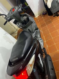 سكنس فحل • ياباني • مكفوله