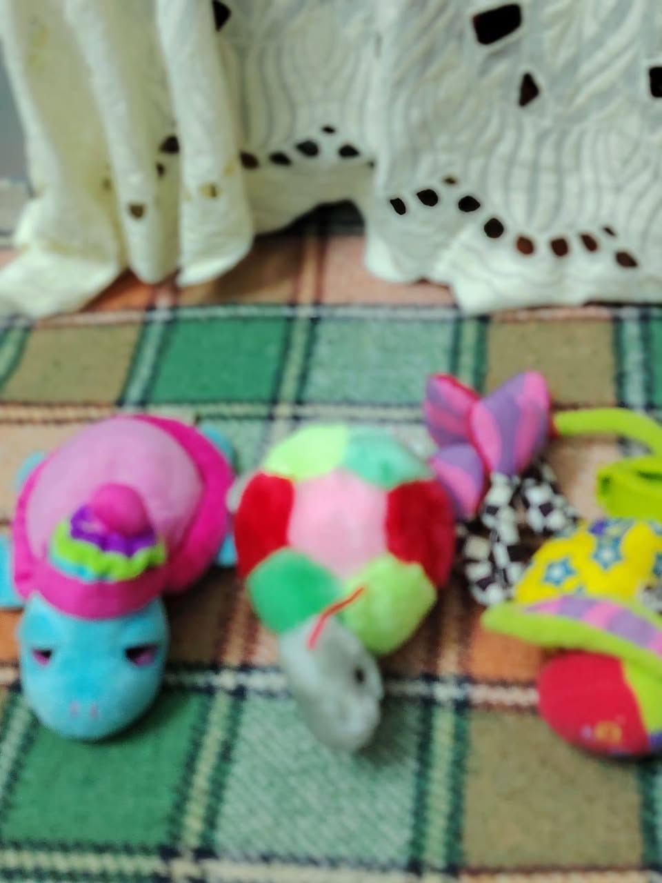 للبيع


**إذا كنت صاحب هذا الإعلان وتريد حذفه لأي سبب، رجاءا أرسل رسالة إلى الدعم الفني**