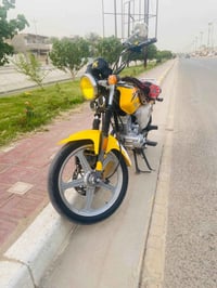 سكنس • عظم • كفالة