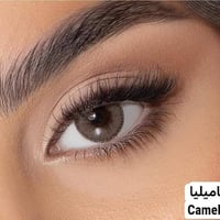 عدسات تريندي • كورية سنوية • مريحة