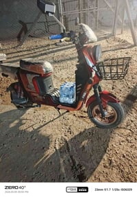 باسكل شحن • ديالى الوجهية
