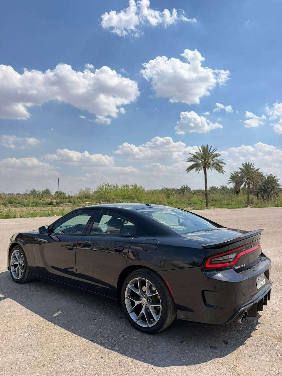 للبيع او مراوس
جارجر 2019 sxt
رقم بغداد 
مكينة 6 سلندر / 3600 
حادثها جاملغ وبنيد وهنا 
بيها جاملغ امامي 
يعني بيها 3 قطع الامامي
 تبديل بدون دواخل 
بدون صبغ 
السيارة جاهزة
كير ومكينة تبريد صدر
كله جاهز مابيها اي نقص 
مكاني/ ديالى جديدة الشط 
للاستفسار/ ***********
