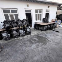 الديوانية طريق النجف • قطع غيار رينو • كوليوس فلاونس