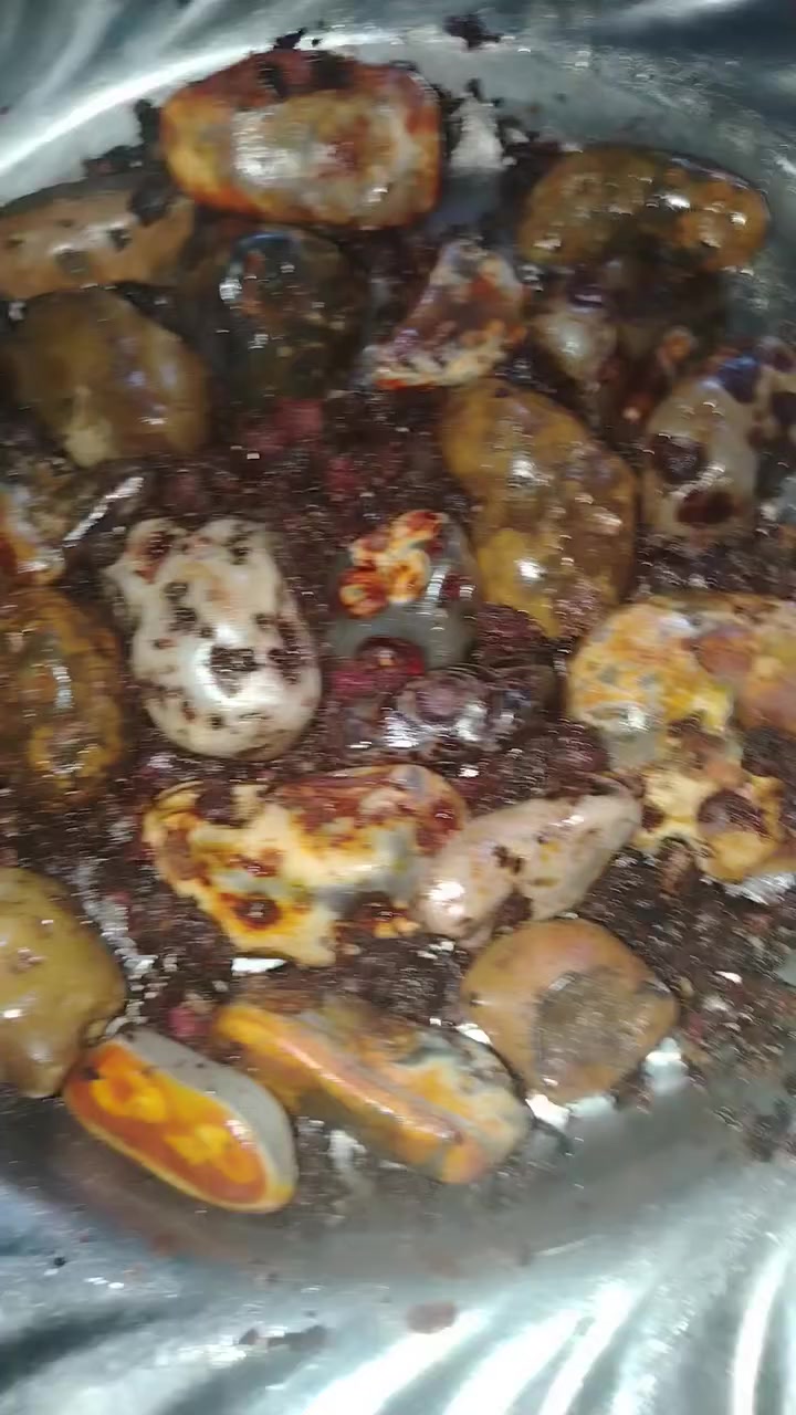 احجار خامه دااودي مهبهب سلطاني وسليماني كلهن مشروطات وذمه ينجرخن محابس الي يحب يجي خاص. كربلاء حي الوفاء ***********
