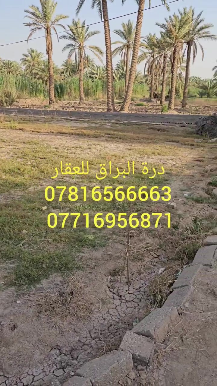 السلام عليكم 
اللهم صل على محمد وآل محمد .
(دونم و٦٠٠م ) تحتوي على دارين وهيكل طابو زراعي سند ٢٥ .
تحويل اسهم. 
العنوان : كربلاء المقدسة/ قضاء الحسينية/ منطقة الابراهيميه @
للاستفسار اكثر الاتصال على الأرقام(***********و *********** )
للمزيد من العروض  تابع الصفحة . #الجميع
