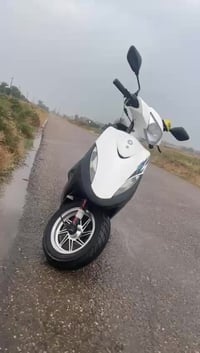 مطلوب موتور • سكنس ثعلاب جبلاي