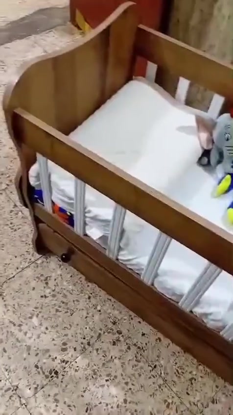 للبيع جدآ نضيفه السعر 50 مع الدوشك اخذتها قبل ثلاث اشهر


**إذا كنت صاحب هذا الإعلان وتريد حذفه لأي سبب، رجاءا أرسل رسالة إلى الدعم الفني**