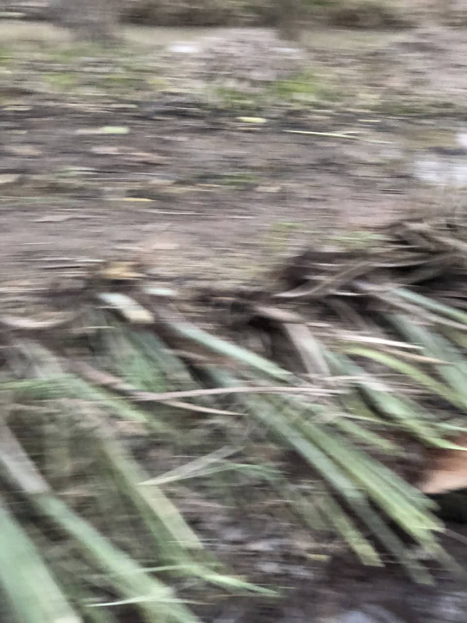 سلام عليكم فسائل زهدي للبيع درجه اولى احجام وسط ودبة غاز مشلوع وكامل شكد متريد اجهزلك سعر الوحده4الاف 
رقمي ***********
