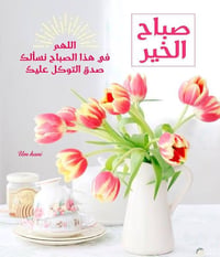 ورحمه الله وبركاته احتاج موظفة كاش في الجادريه وبراتب 500 هاتف  ،07712...