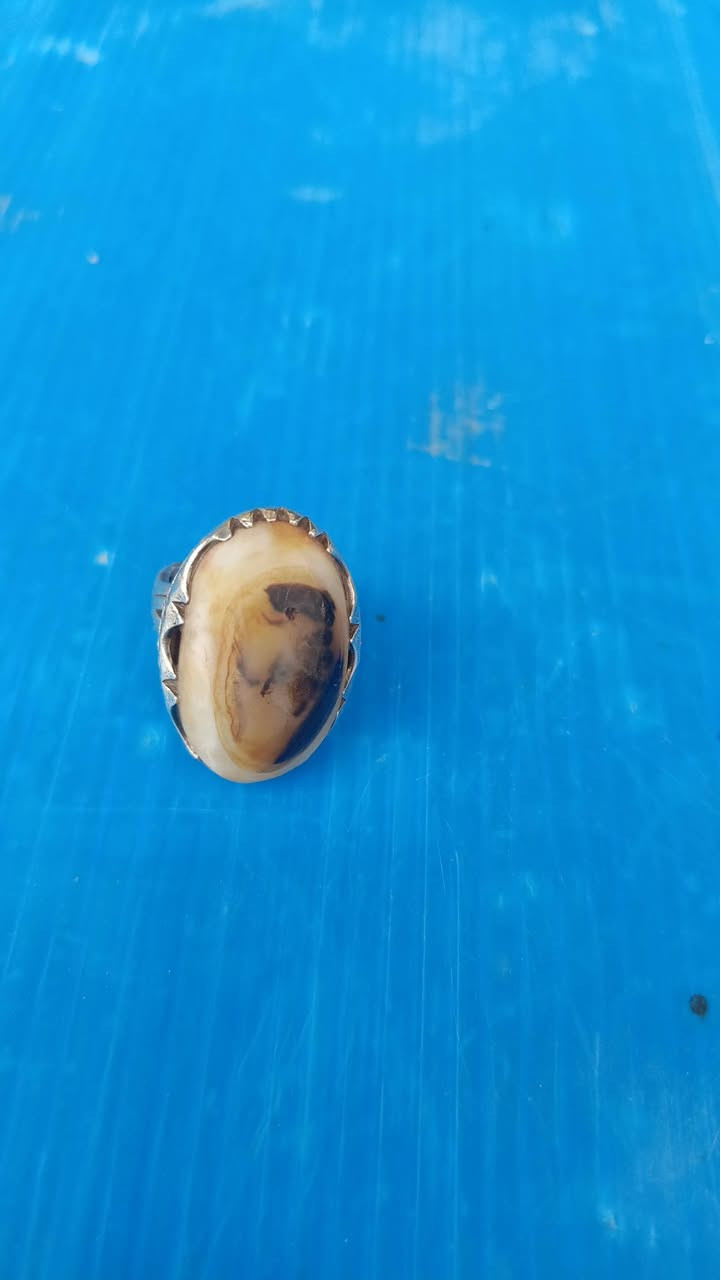 ياقوت زفير حجر سلاطين 

بقري وسليماني 2   السعر 200

المكان بغداد المعامل الحسينيه 

الرقم ‏‪***********‬‏
