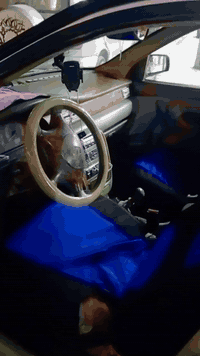 سلام عليكم سمند مديل دعش مظومه غاز تخم تاير حداديه جديده سياره خير من الله رقم واسط  بكانه واسط سنوية تسعه وعشرين سعره خمسه تلاثين ورقة ***********
