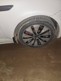 تخم ١٨ • ٥ تخم كامل • حجم ١٧