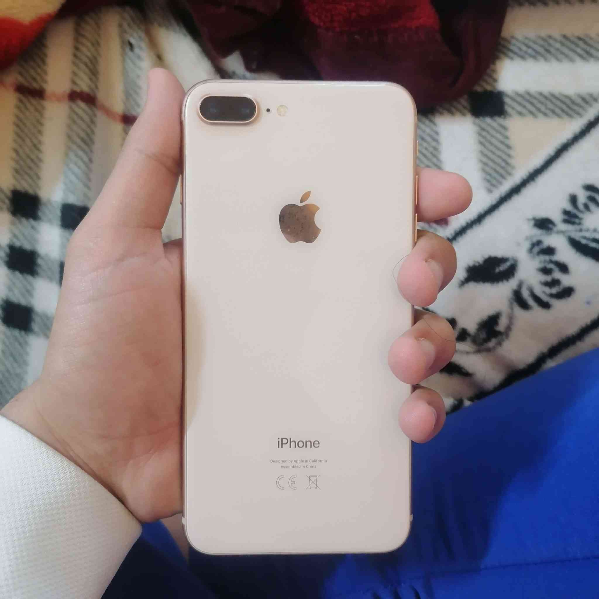 ايفون 8plus
💵السعر: 150 ألف بيه مجال فقط حك الجية +يرهم مراوس ويا اكس ماكس او 11عادي بدون فرق 
🔹بوبجي 60 فريم 
🔹 الذاكرة: 64GB
🔹بطارية : 74
🔹 الجهاز شغال بالكامل بدون أي خلل
🔹 البصمة شغالة طبيعي
🔹 تك سيم شغال طبيعي
🔹 الكامرات شغالات وتصويرهم حيل حلو 📸
🔹 الهزازات شغالات طبيعي
ملاحظة : 
الجهاز شرط ما مبدل بيه كلشي ولا مصعده بطاريته شرط شرط + تفحصه وين ما تريد + الجهاز احلا بل حقيقة 
📍 الموقع: موصل – الأيمن 
📞 التواصل: خاص أو اتصال مباشر

***********
