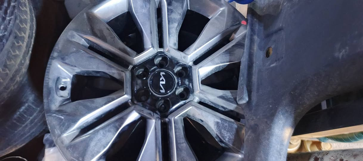 تخم ويل موهافي للبيع شكل  ٢٢ لل٢٥  يرهم جميع الموديلات الي يريده  ***********
