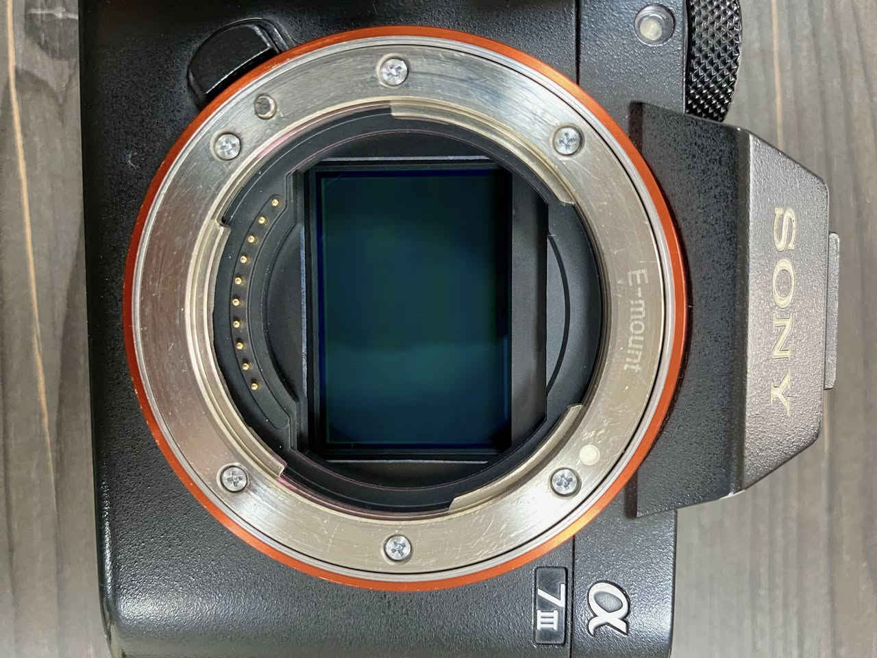 للبيع Sony A7III بدي فقط بدون عدسة
شتر 83k

العنوان بغداد

  واتساب *********** 

تلي غرام https://t.me/mo6t_98

