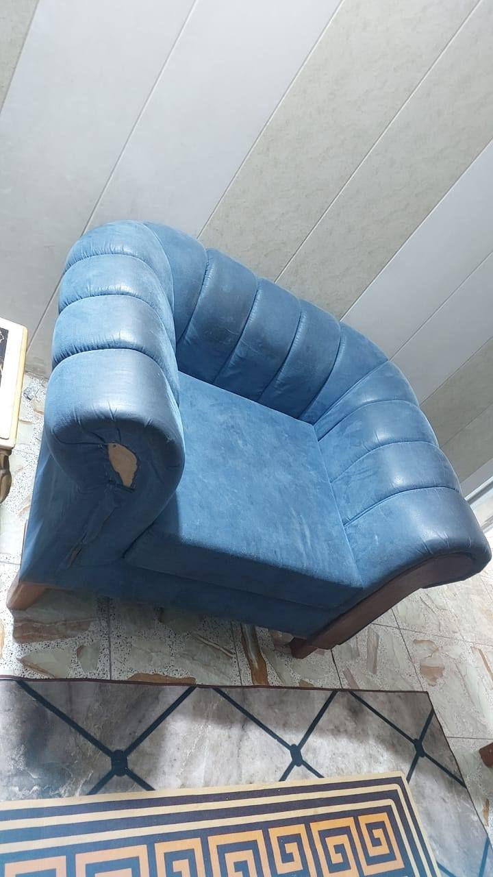 مجمده وتخم تسكام جلد شيمون سعر تخم ٨٠٠وبيه مجال ولمجمده ١٨٠وبيه مجال مكان شعله جكوك شارع حسينيه +***********
