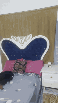 جربايه للبيع السعر ٧٥ نهايتها ***********
